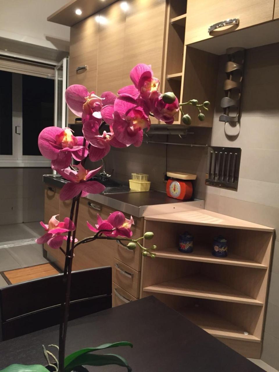 Smart House - Ammiragli2 Apartment Рим Екстериор снимка